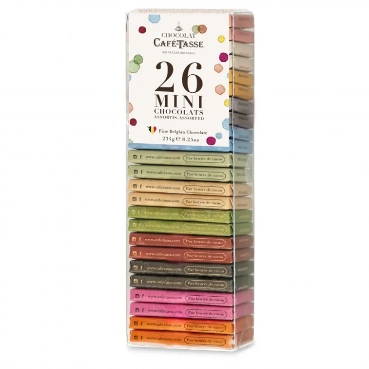 Coffret 26 mini tablettes - 13 goûts 234g*Guy Demarle Best