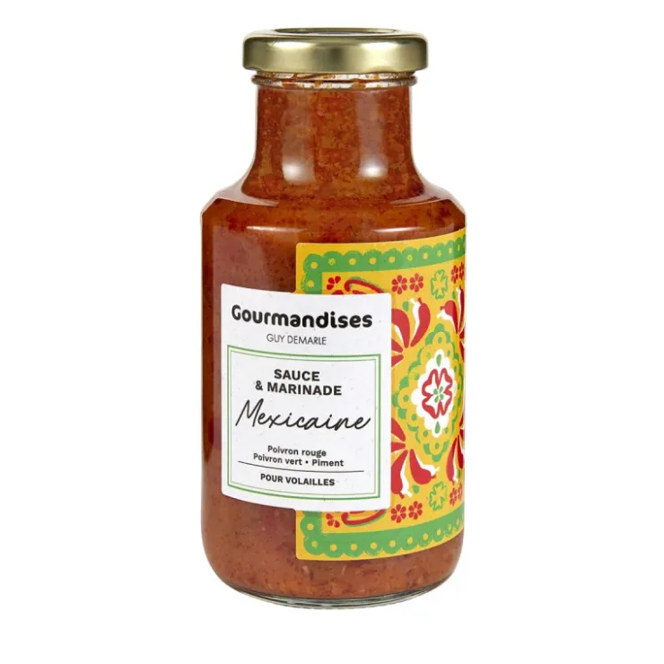 Sauce & marinade Mexicaine*Guy Demarle New